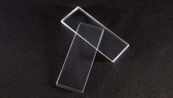 Cover slips, square, 24 x 32 mm