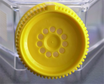 TPP Filter screw cap for flask 150 / 300 cm²