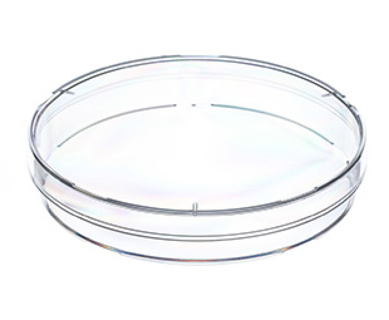 Petri dish with vents, heavy, Ø94 x 16 mm
