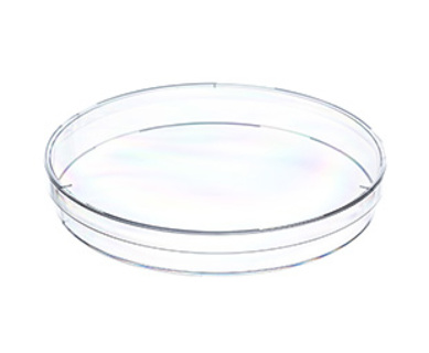 Petri dish with vents, Ø145 x 20 mm