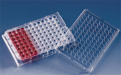 Microtiterplate PS F-bottom sterile