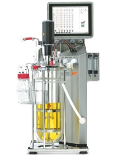 Bioreactor, Labfors 5 - Microorganisms, up to 13 L TV