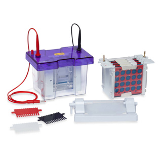 Electrophoresis System omniPAGE mini, CV10CBS