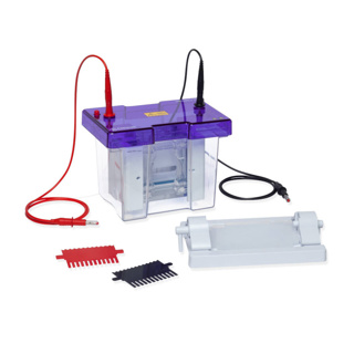 Electrophoresis system omniPAGE TETRAD Mini
