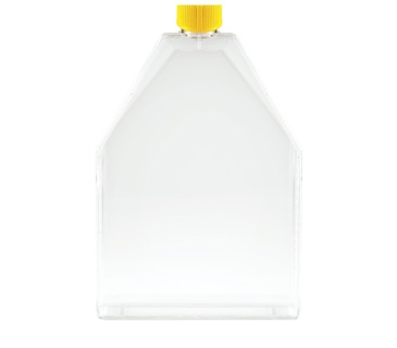 Cell culture flask, TPP ventilated lid, 300 cm², 18 pcs