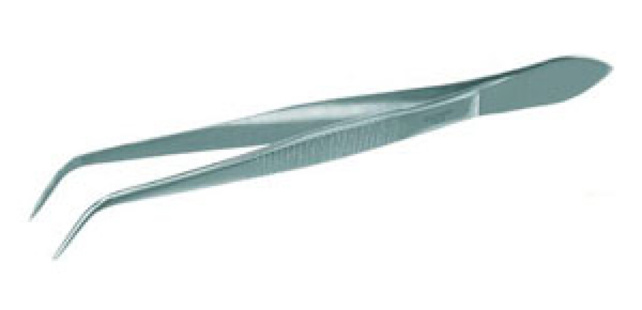 Forceps 18/8 steel with sharp ends, curved, Lengt