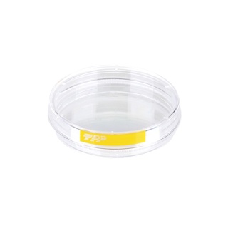 Cell culture petri dish, TPP, Ø60 mm, 22.1 cm², ventilated