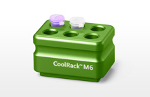 BioCision CoolRack M6, green