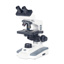 Mikroskop B1 Elite, Binocular