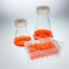 Media, THOMSON Plasmid+®, DNA production, 1L bottles 6 each/case