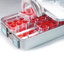 Anti evaporation box for Multitron shaking incubators, 12 x Microtiter plates 