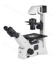 Inverted microscope AE31E, binocular, 45° viewing