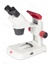 Stereo microscope RED30S binocular, 45° viewing