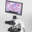 Microscope camera incl. LCD screen, Moticam 1080N BMH