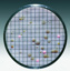 Nutrient pad w. membrane filter, Sartorius, Gluc. Tryptone, 0,45µm, D50mm, sterile