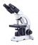 Educational microscope BA81B-MS w/100x Corded, WF