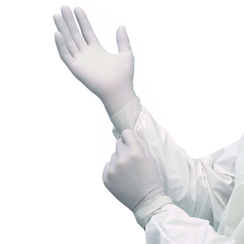 s2004_2[1].jpg