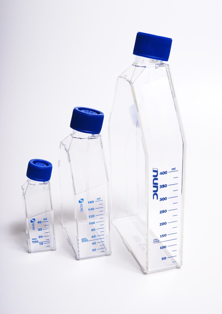 Thermo_Cell_culture_flat_flasks-set.jpg