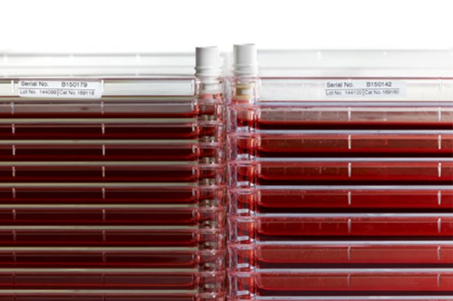 High Density Cell Factory Systems#2.jpg
