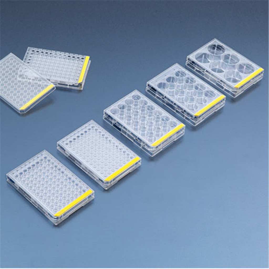 cell-culture-plates-TPP.png