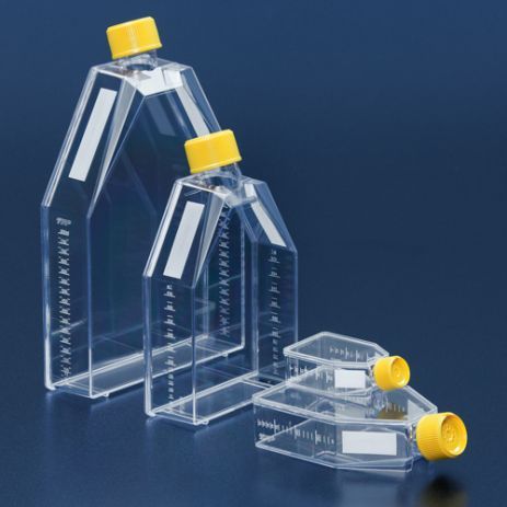culture-flasks-ventilation-TPP.jpg