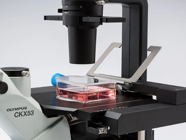 Krydsbord-5.jpg