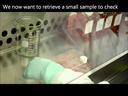 youtube - [Video]