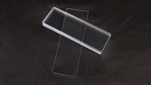 [1180408] Slides, plain cut edge