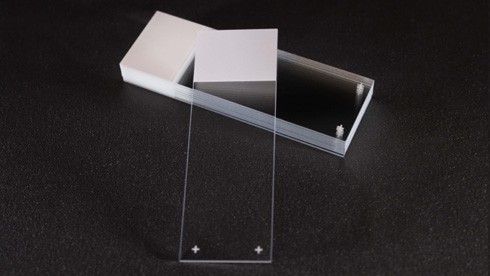 Slides, Epredia, Superfrost PLUS, white frosted tab, 90° ground edge, 72 pcs