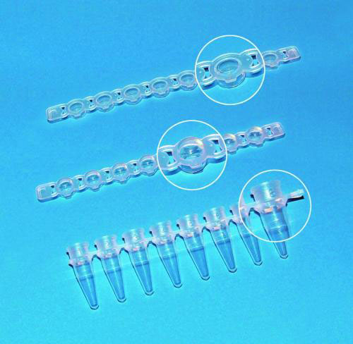 [4007895] Strips 8 PCR tubes w.cap strips,domed