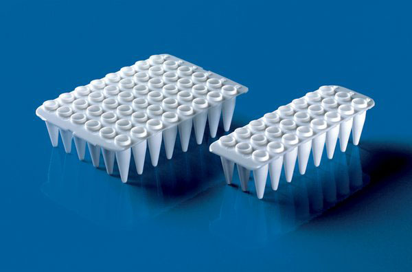 [4007902] 48-well PCR-plates, PP, white, qPCR (pack of 20)