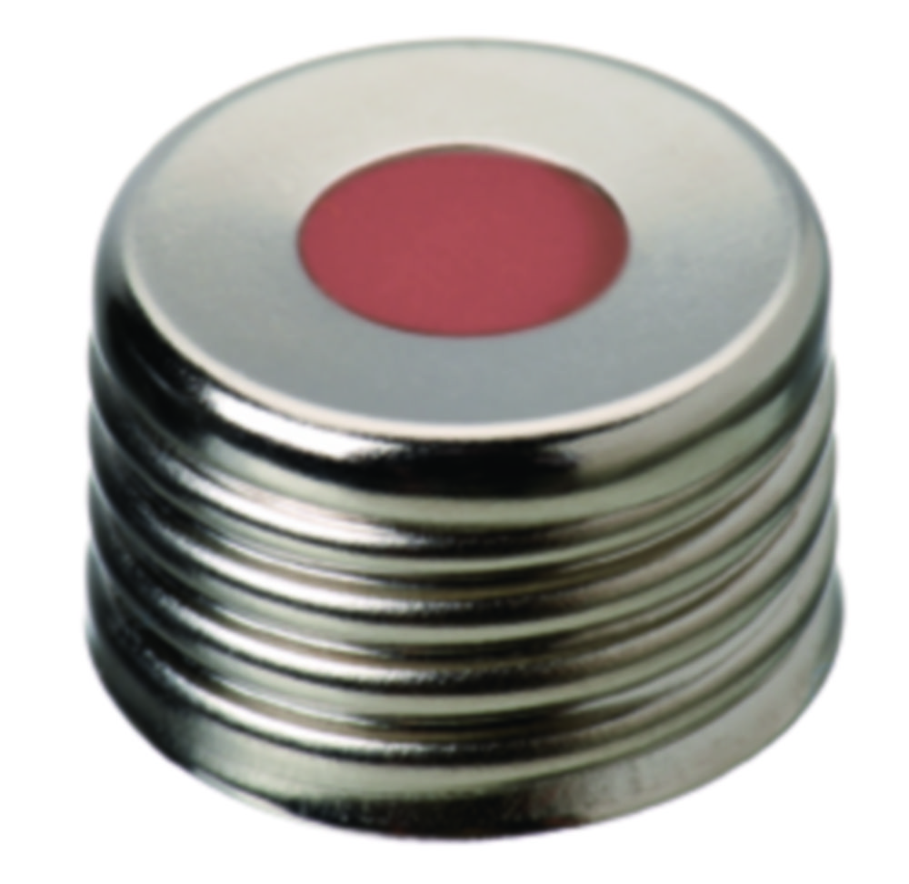 [4008269] Screw cap, LLG, N 18, magnetic steel w. hole, silver, precision, butyl/PTFE 55 A