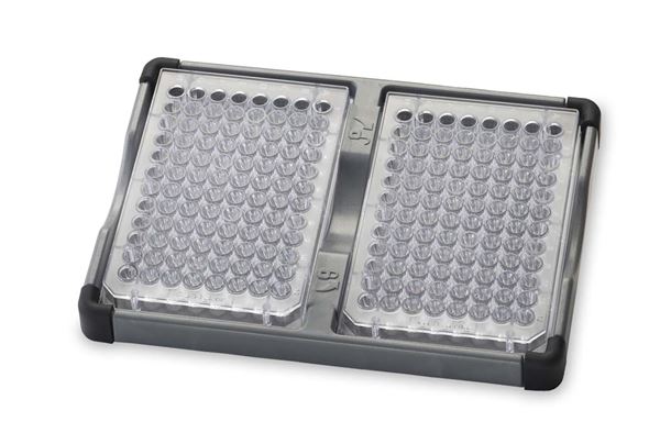 Microplate holder for Vortex Mixers
