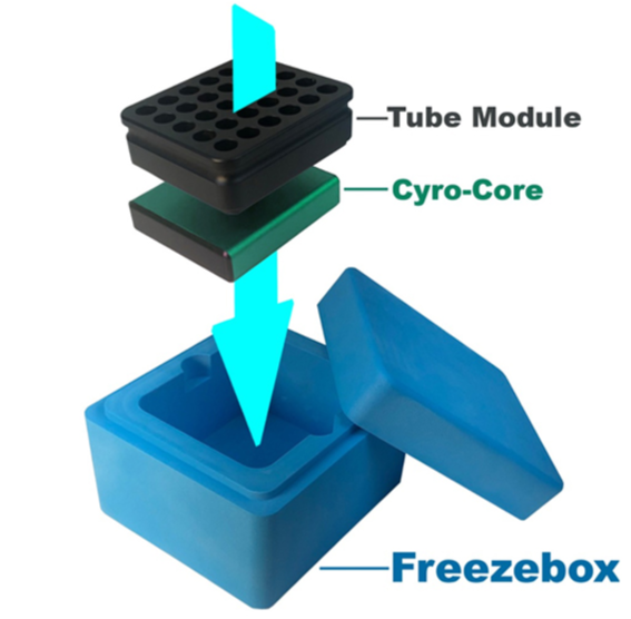 [4665861] Freeze Box for 5 mL tubes incl. cooling core CF (-18 °C to 4 °C)