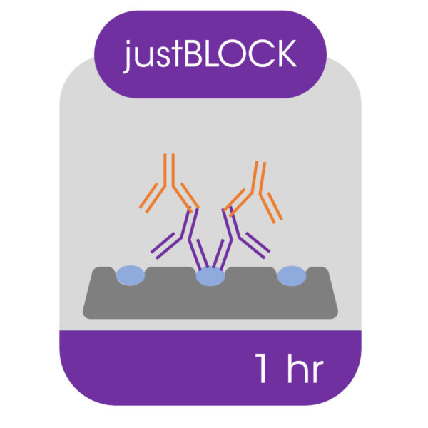 [4670746] Western all-in-one blocking solution