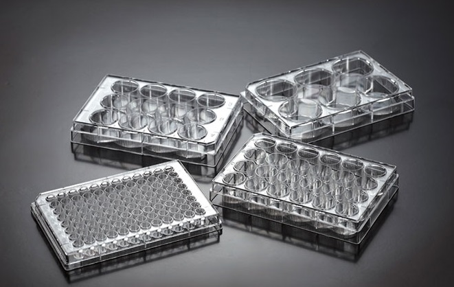 Tissue Cult.plates 4-well, 1.96cm²,treated,sterile