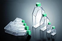 Tissue Culture Flasks, JET-Biofill filter lid, 75 cm², 100 pcs