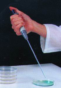[4970807] Pipette tips for Interscience pipette, 19 cm, sterile, 1000 pcs