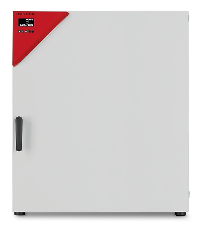 [5040268] Incubator, Binder BF260, with forced convection, 100°C, 260 litre