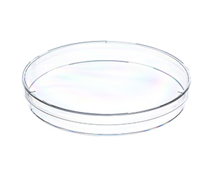 Petri dish with vents, Ø145 x 20 mm