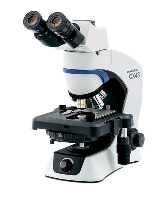 Microscope, Olympus CX43, 4x/10x/40x