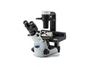 Microscope, Olympus CKX53 FL, 10x/40x
