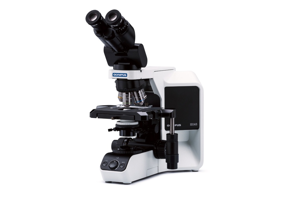 Microscope, Olympus BX43 PH, 10x/20x/40x