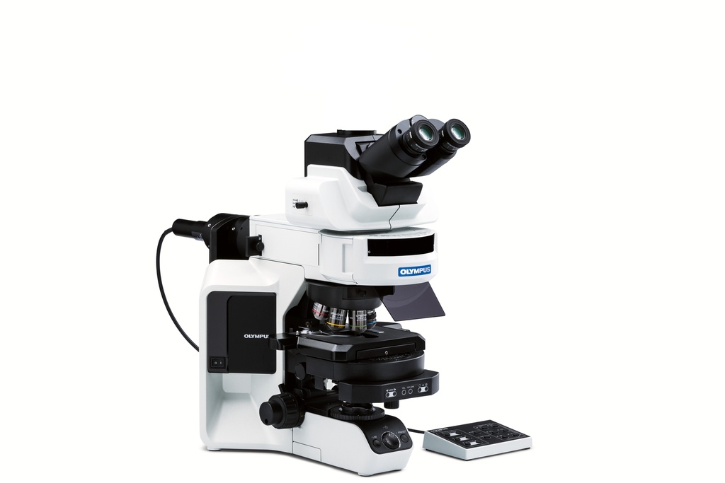 Microscope, Olympus BX53 FL, 4x/10x/40x