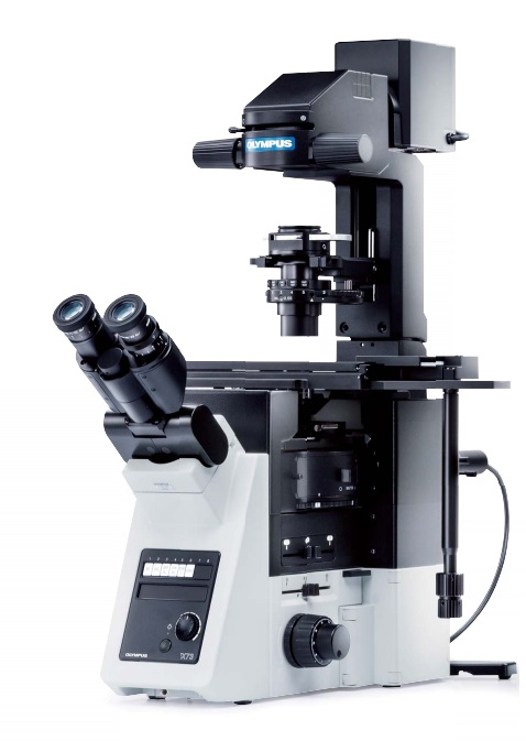 Microscope, Olympus IX73 DIC, Semi-motorized, 4x/10x/20x/40x