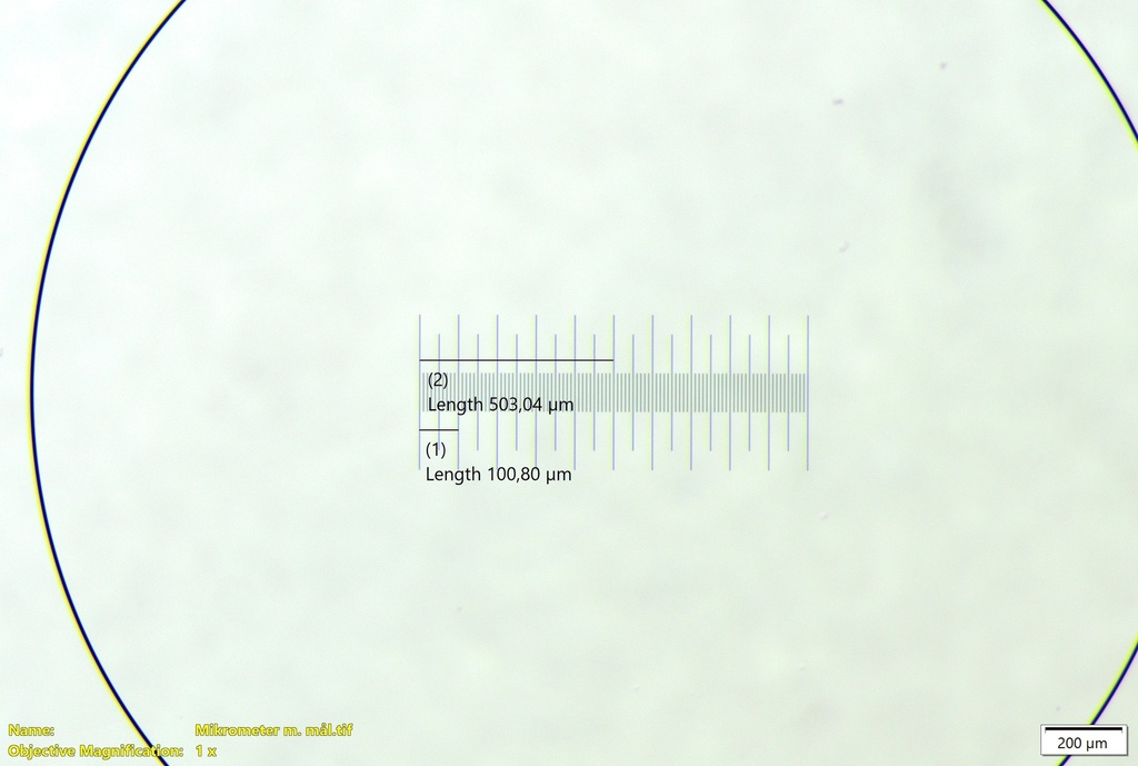 Stage micrometer for transmitted light, 1mm/100 ticks