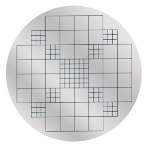 Wolfhuegel graticule/segmentation discs, for colon