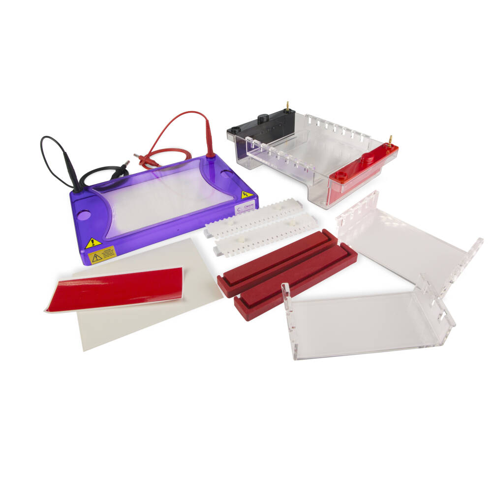 Electrophoresis multiSUB Choice,15x7/15x10/15x15cm