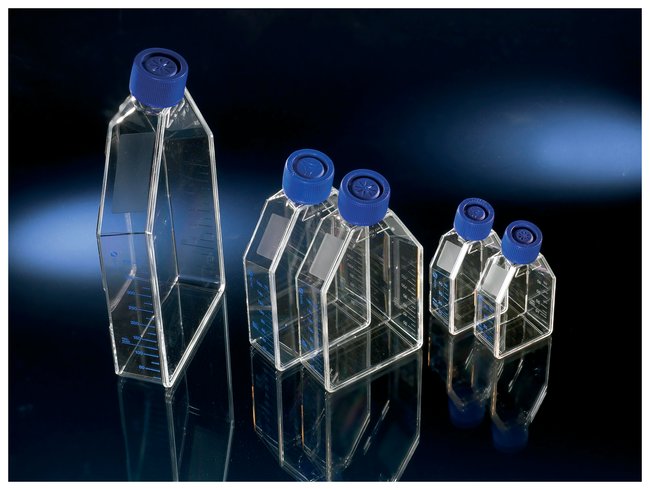 [6244028] Cell culture flasks, EasYFlas, 75 cm², collagen I