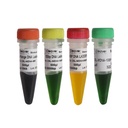 DNA marker, 100 bp - 3000 bp, 500 µl